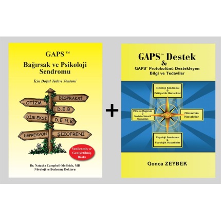 gaps kitap pdf indir