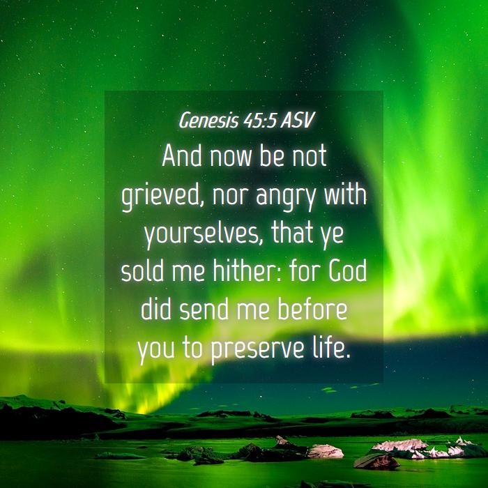 genesis 45 nlt