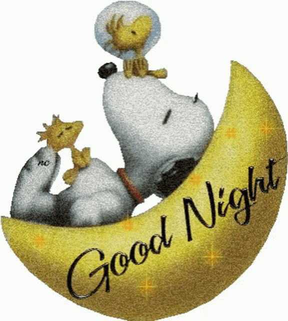 good night snoopy