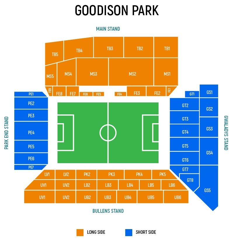 goodison seat view