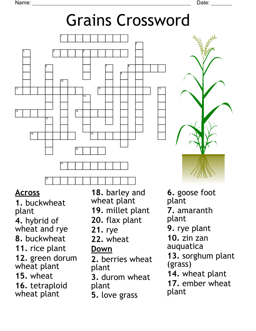 grain thats ground crossword