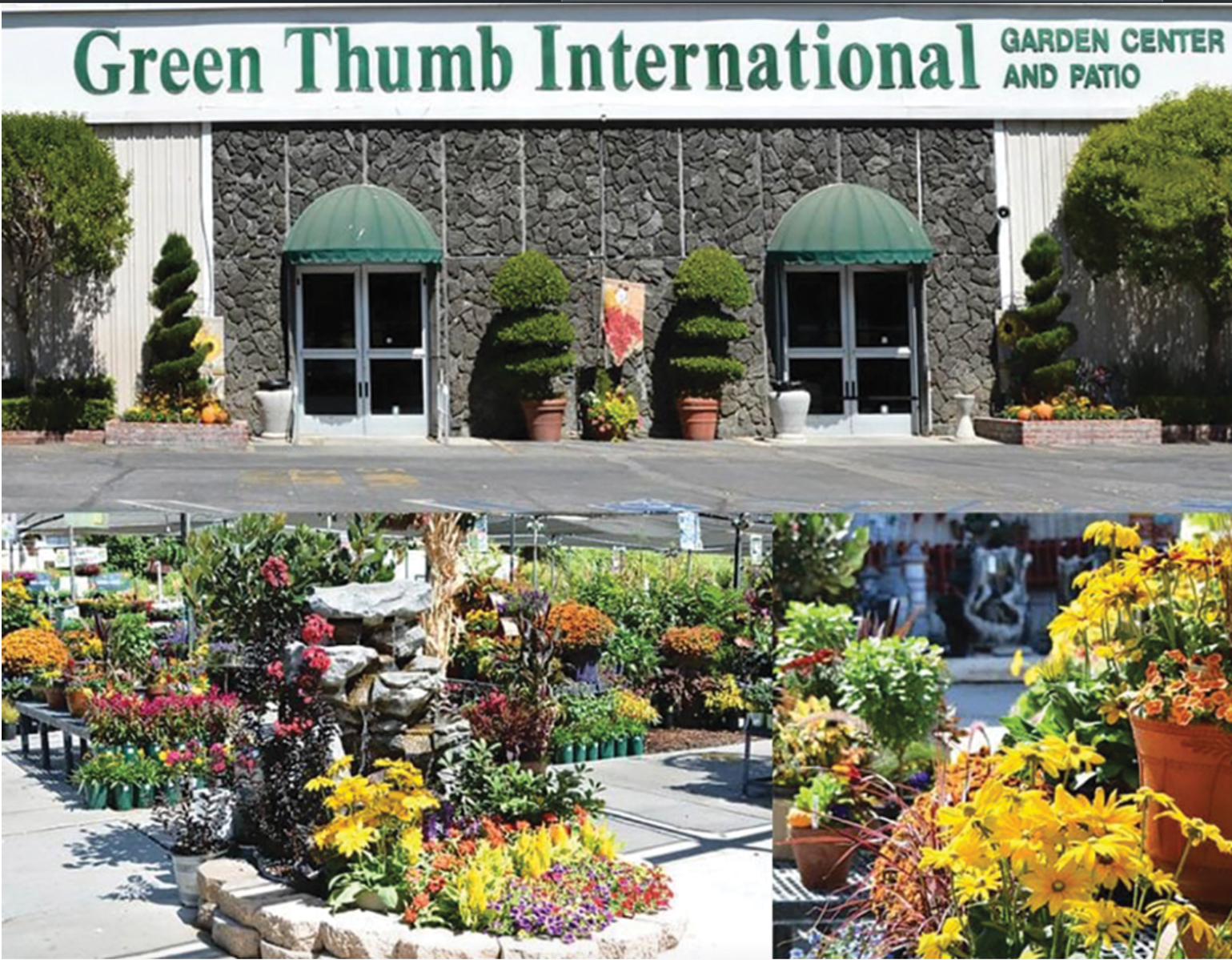 green thumb nursery santa clarita