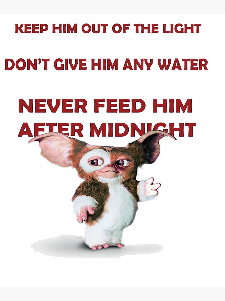 gremlins quotes