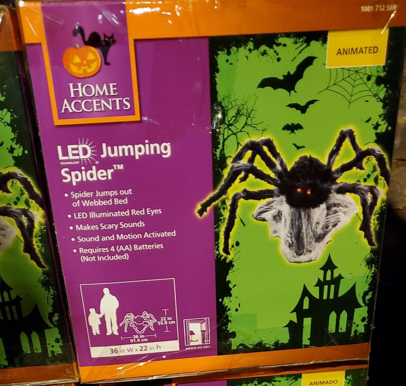 halloween jumping spider