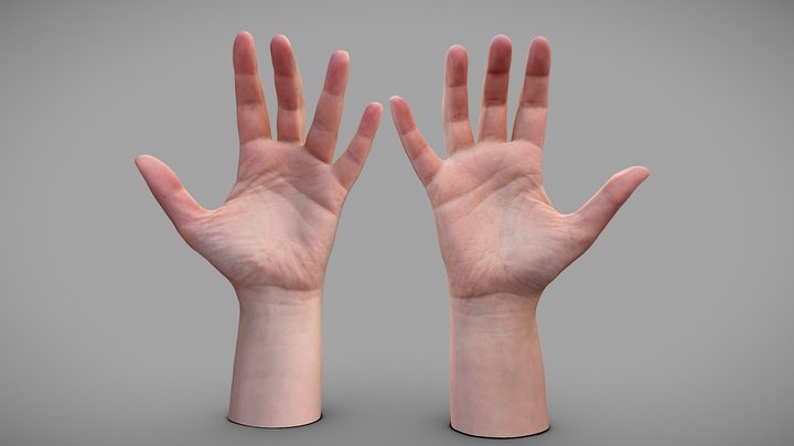 hand 3d model free download