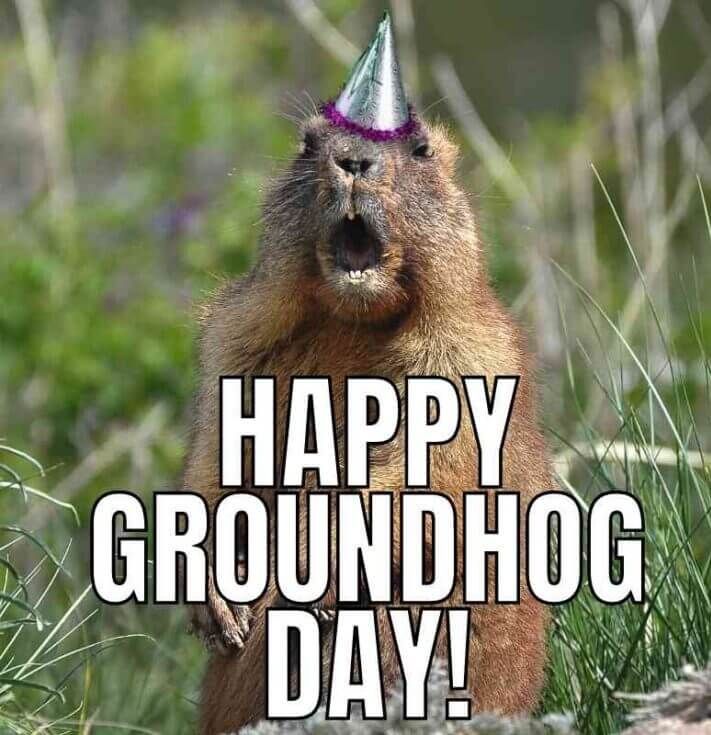 happy groundhog day memes