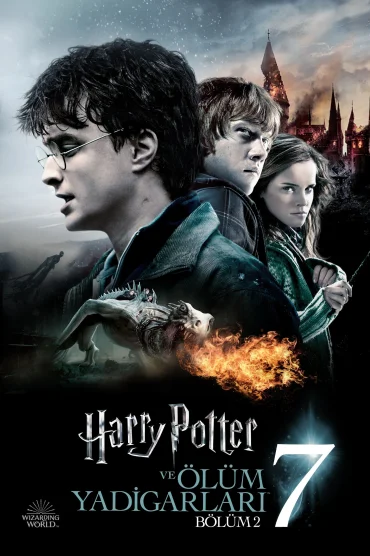 harry potter 8 türkçe dublaj full