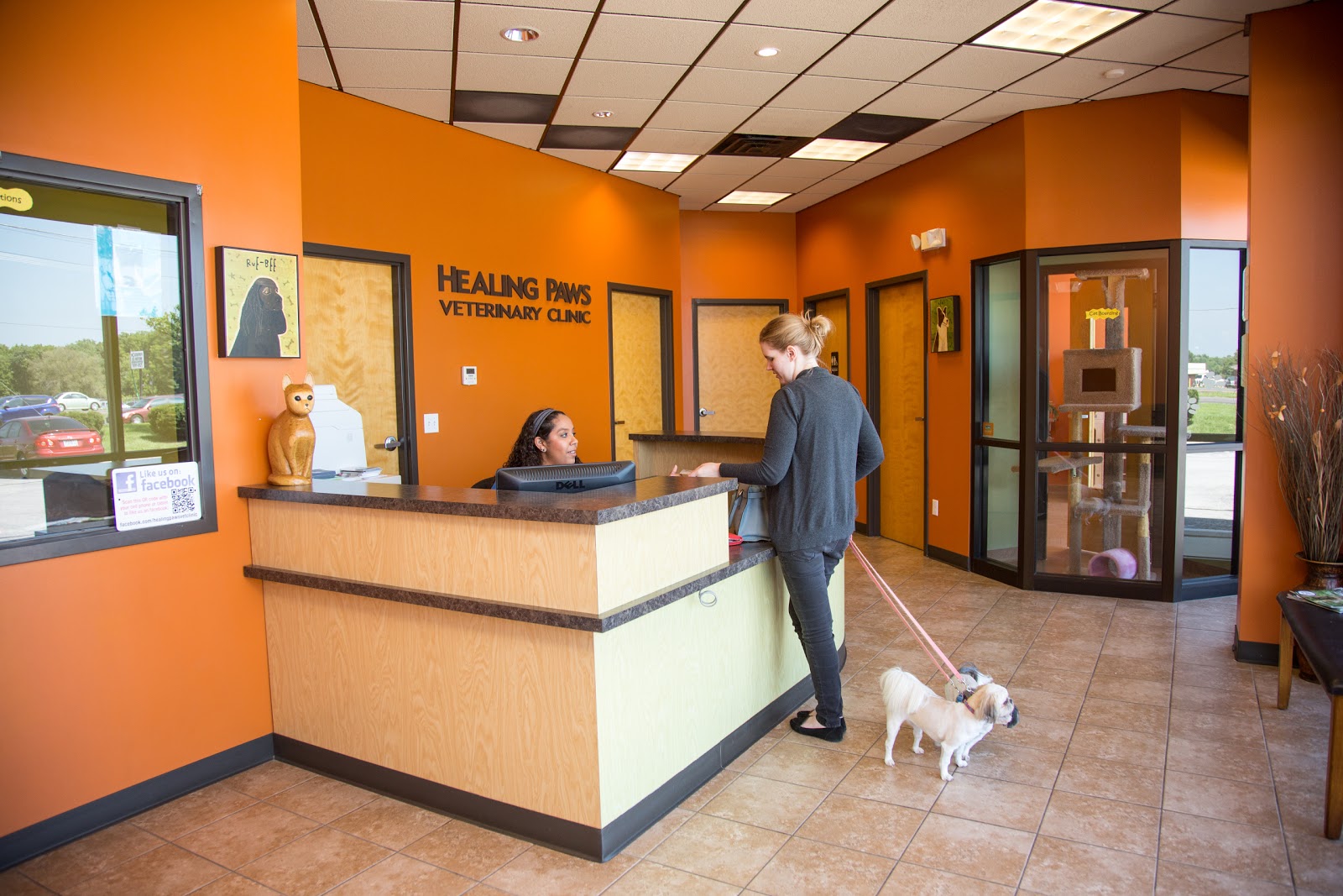 healing paws veterinary clinic reviews