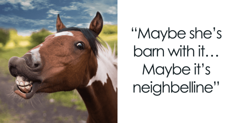 hilarious horse quotes