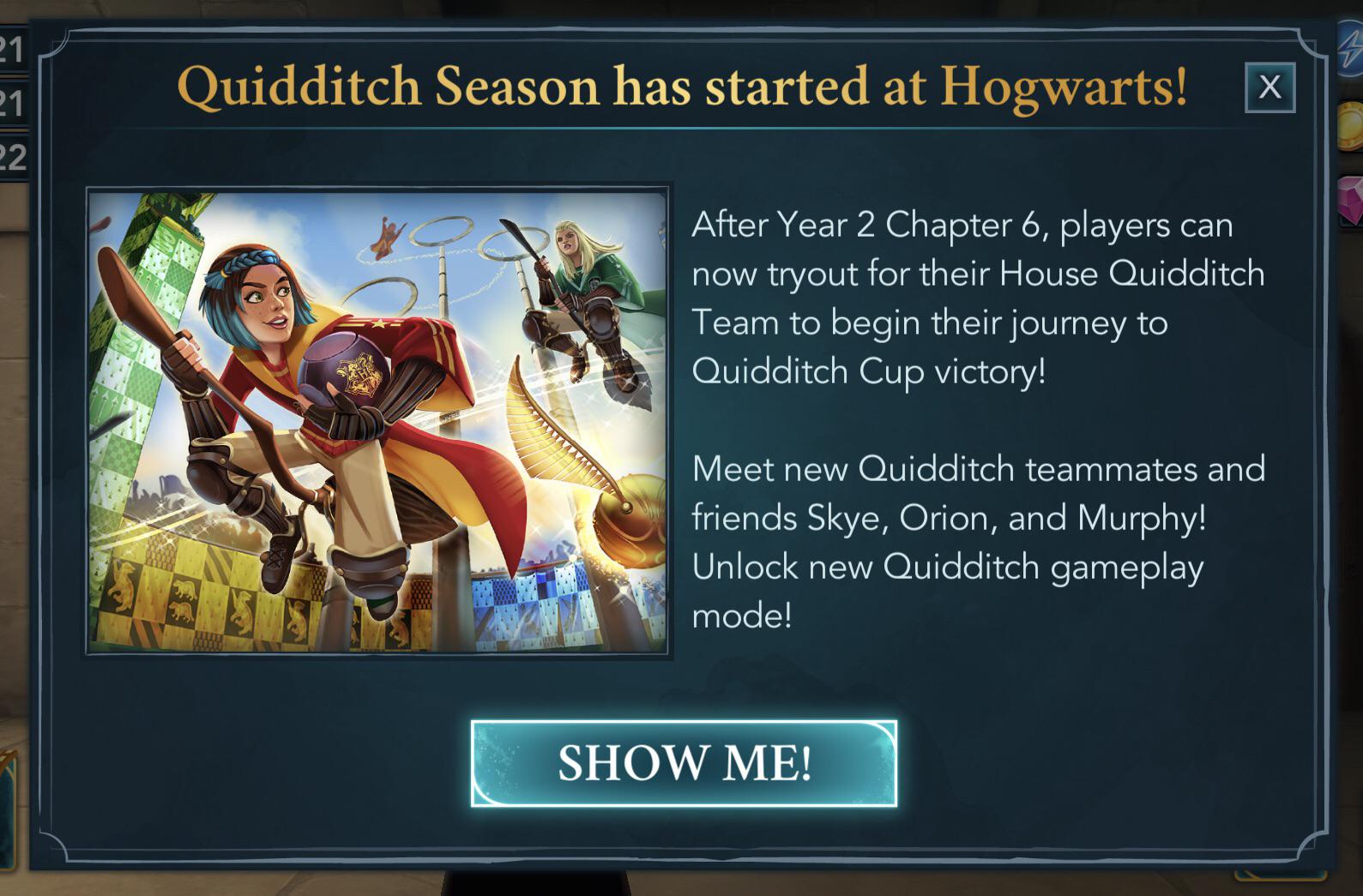 hogwarts mystery quidditch chapters