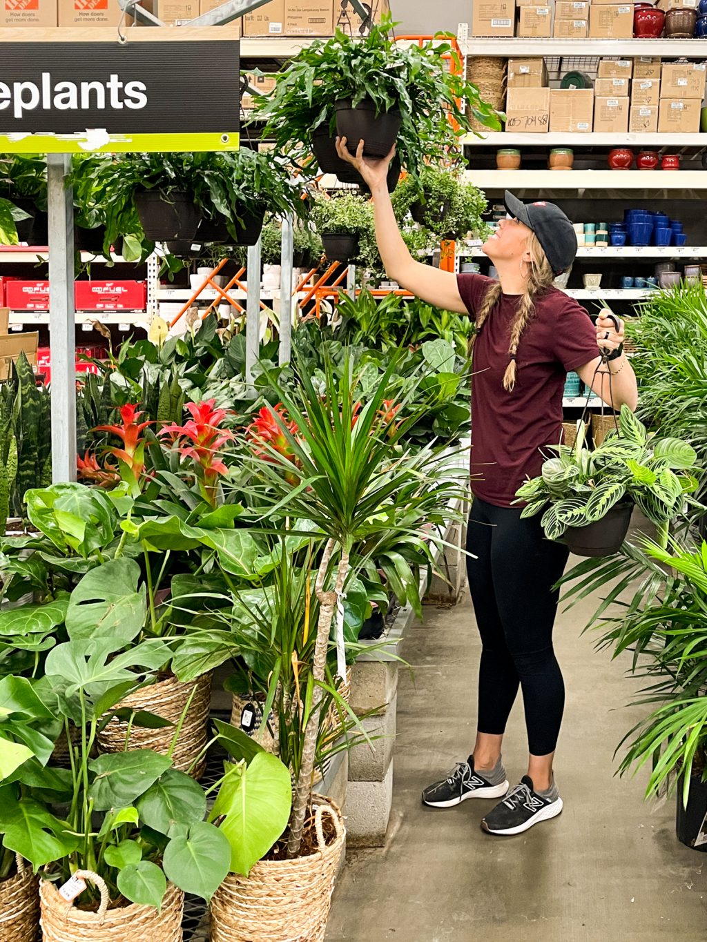 home depot plants