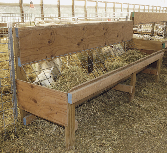 homemade sheep feeders