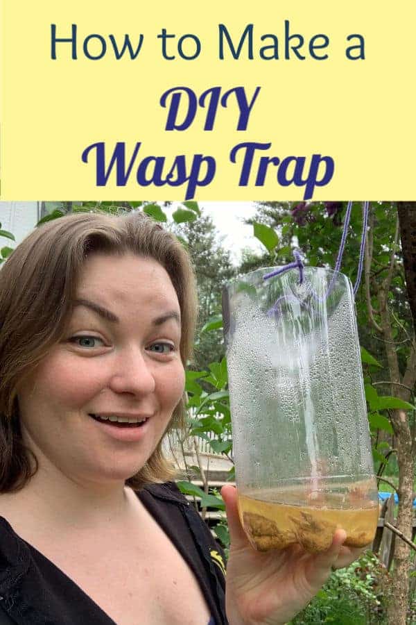 homemade wasp traps