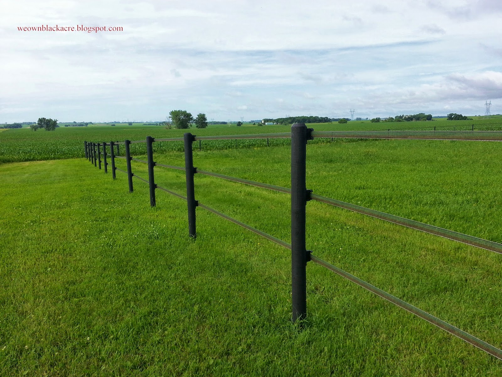 horse guard fencing