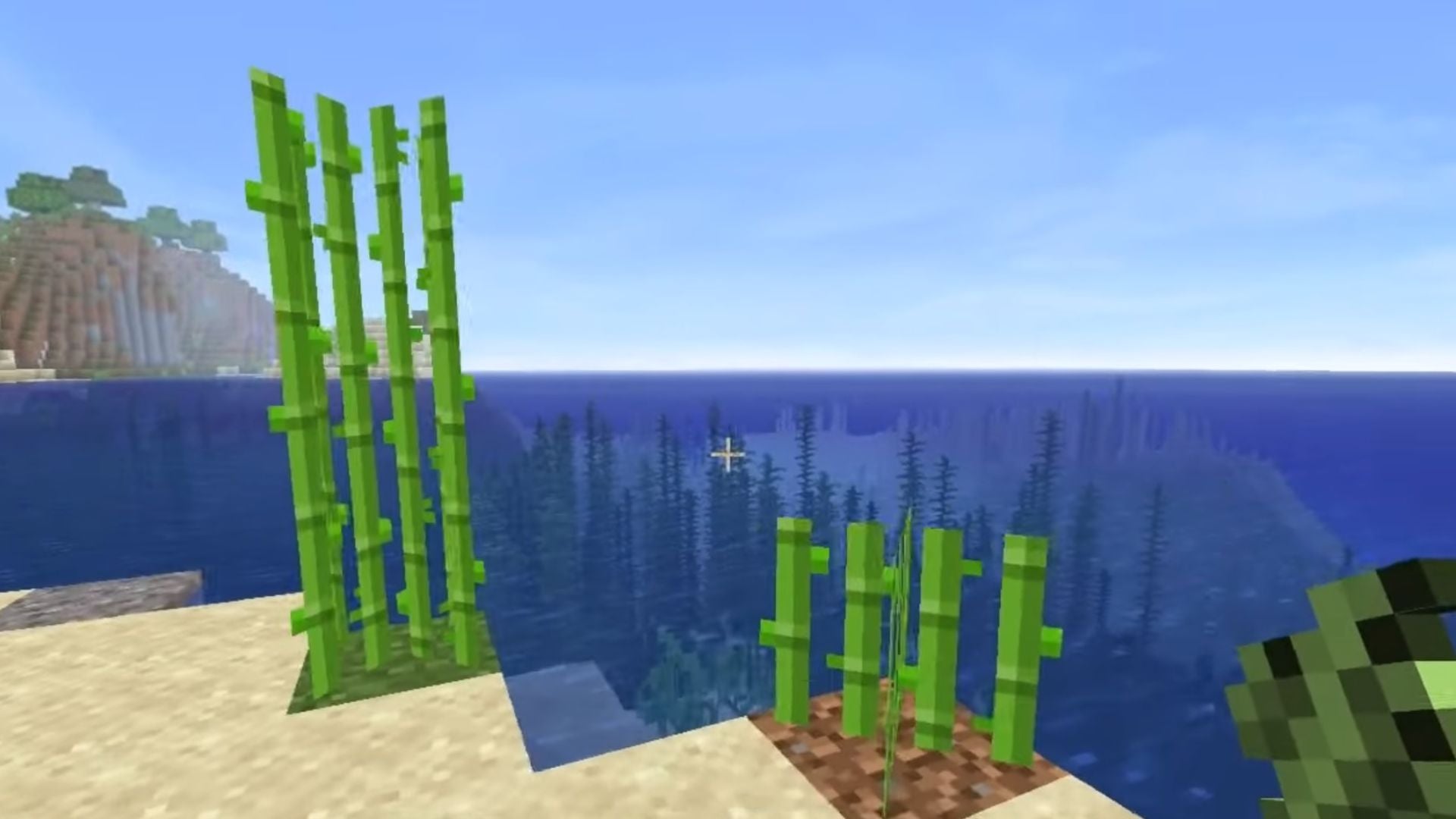 how do i plant sugarcane in minecraft