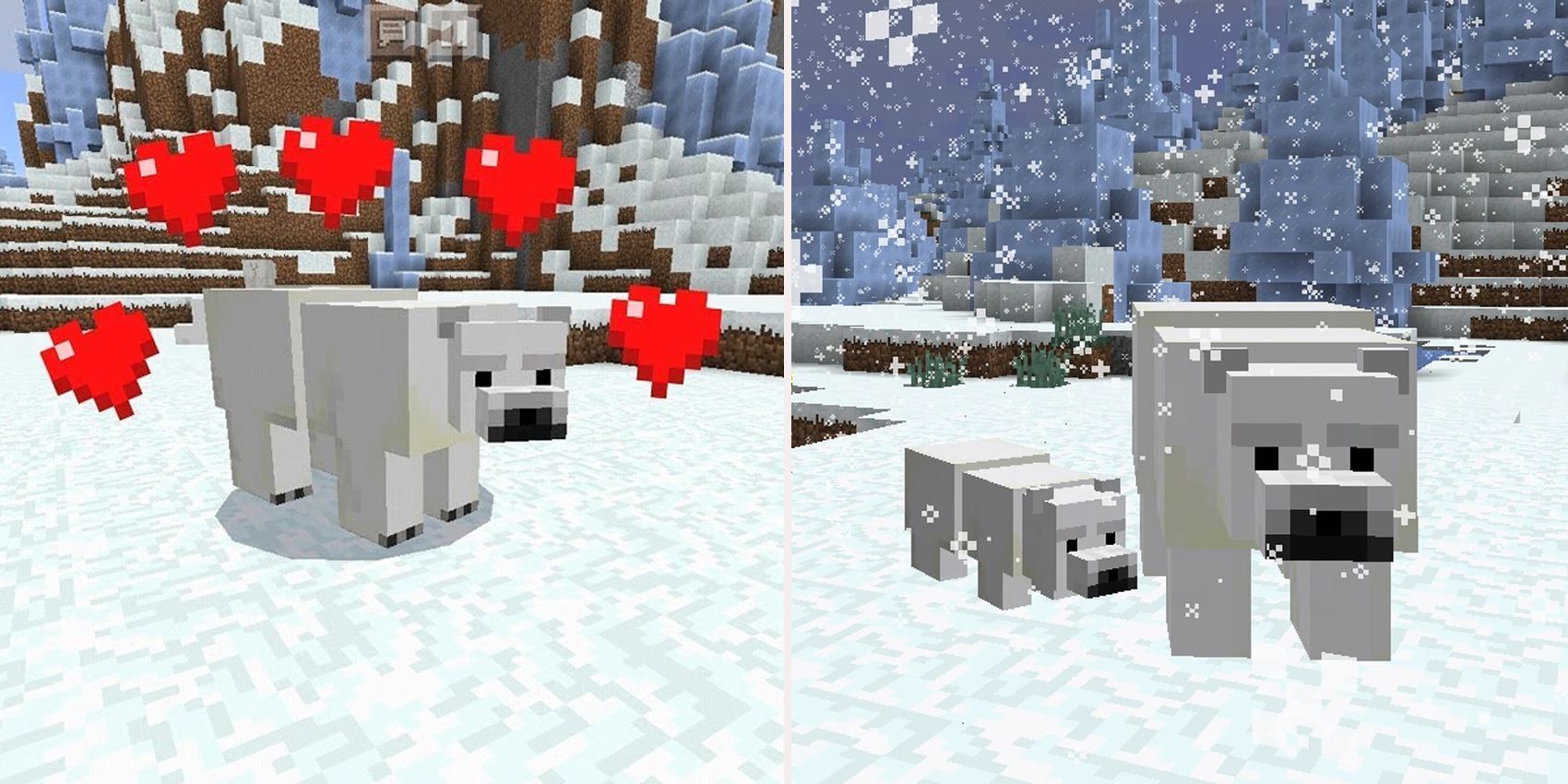 how do i tame a polar bear in minecraft