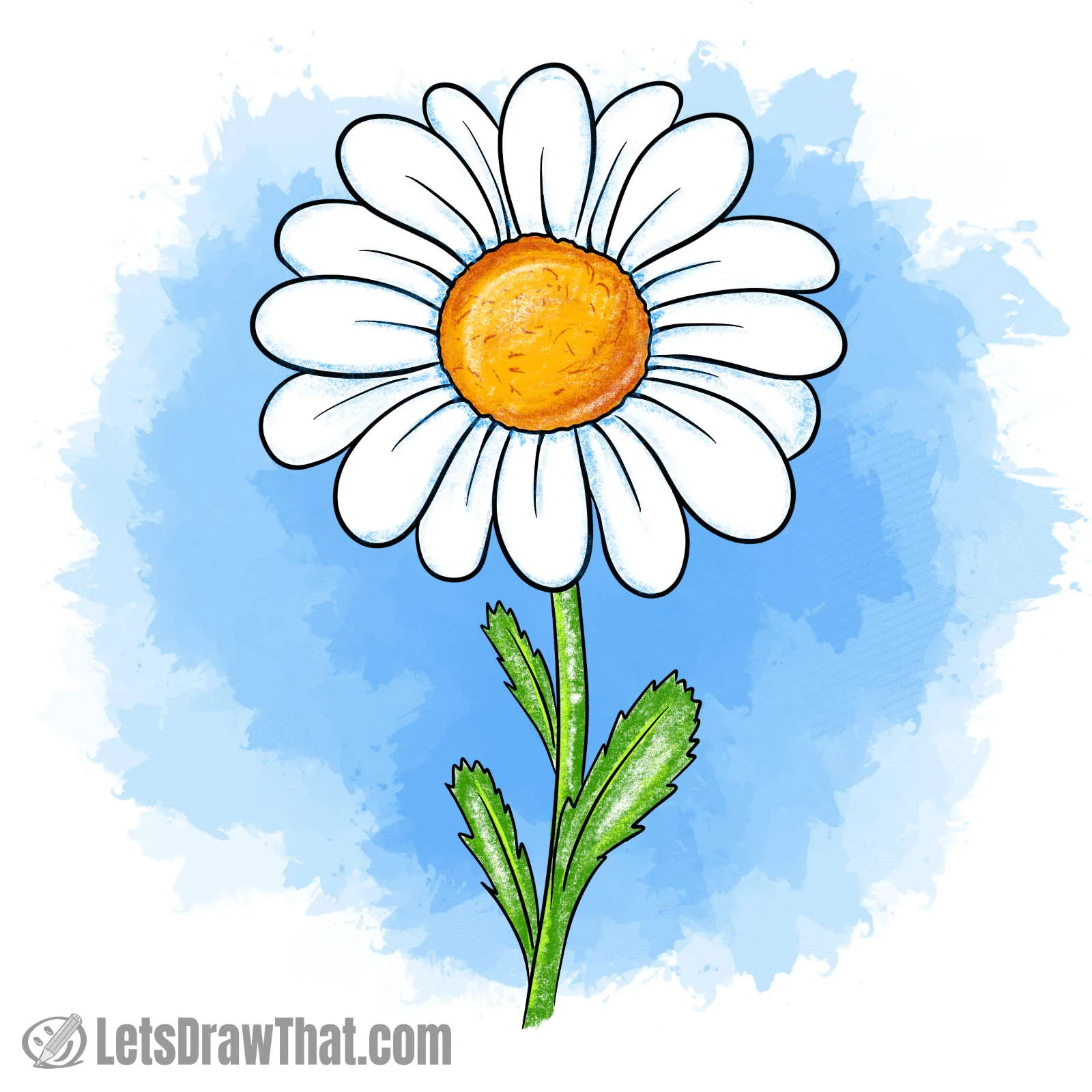 how to draw a daisy flower