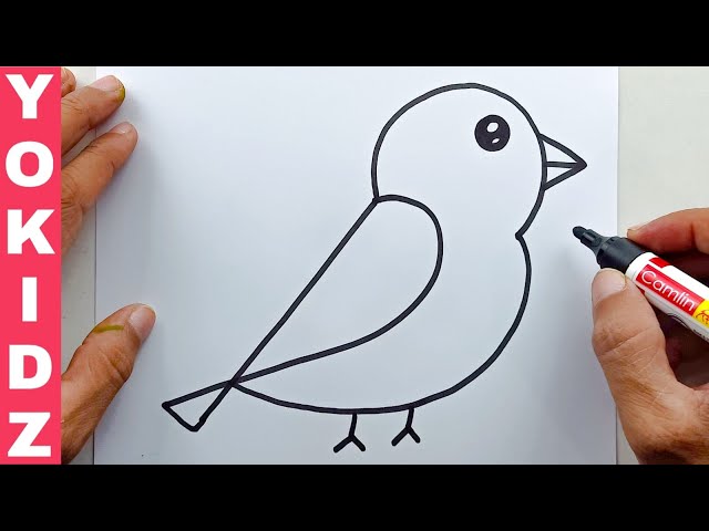 how to draw a simple bird