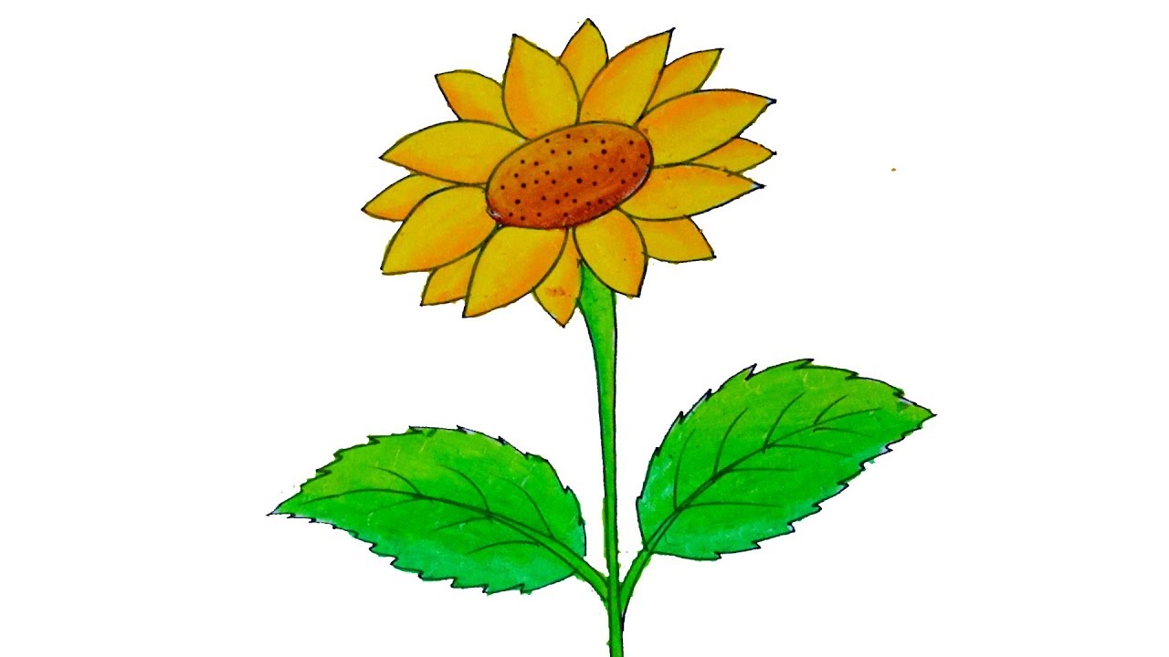 how to draw a sunflower for kids