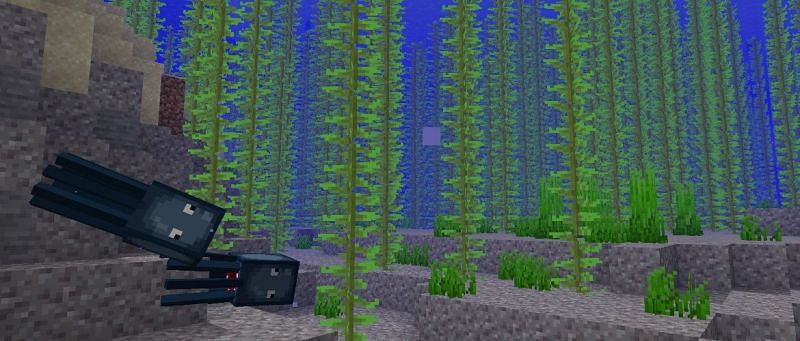 how to get kelp in minecraft