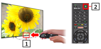 how to reset a sony bravia