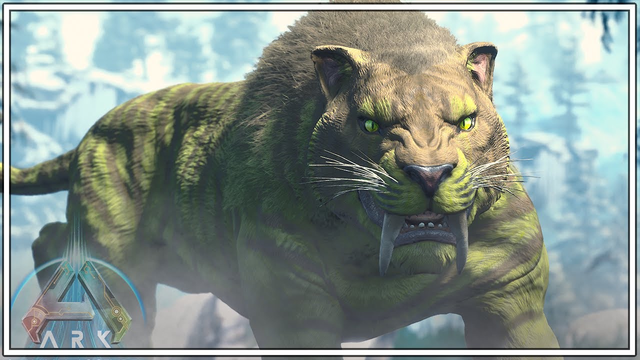 how to tame a sabertooth in ark