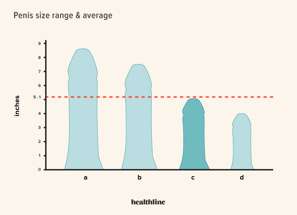 ideal penis size