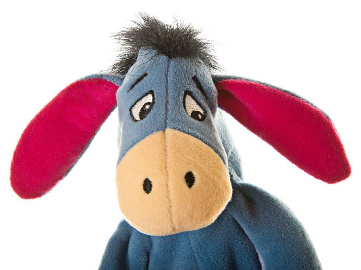 igor donkey