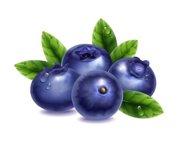 image of a blueberry