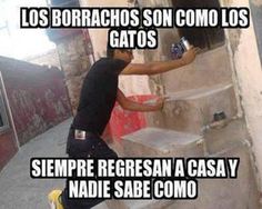 imagenes de borrachos para whatsapp gratis