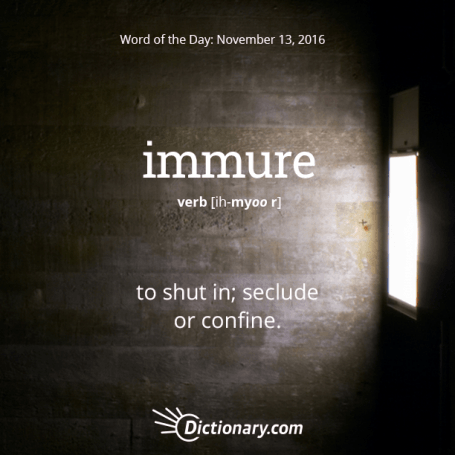 immure meaning