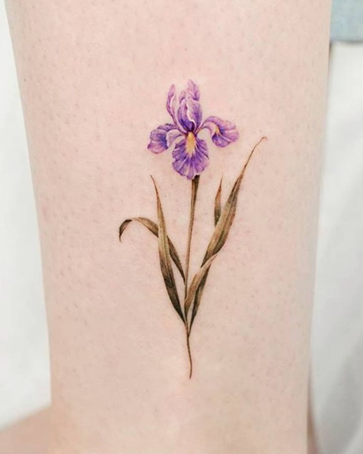 iris flower tattoo