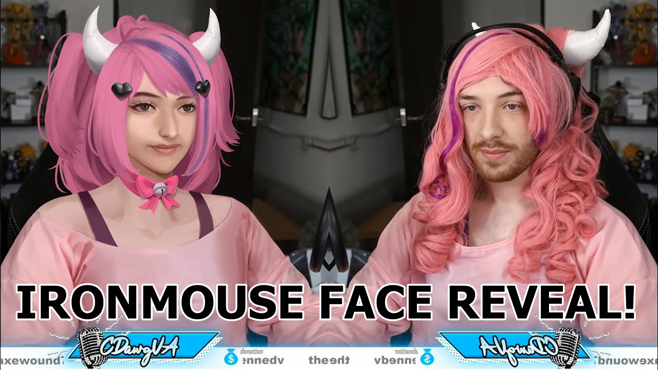 iron mouse real face