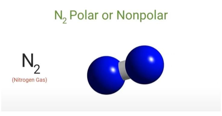 is n2 polar