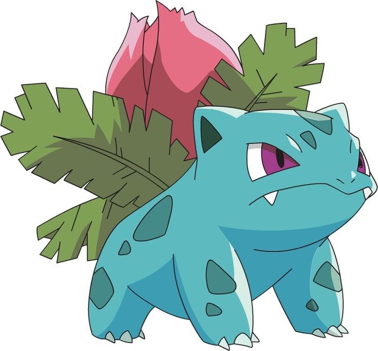 ivysaur drawing