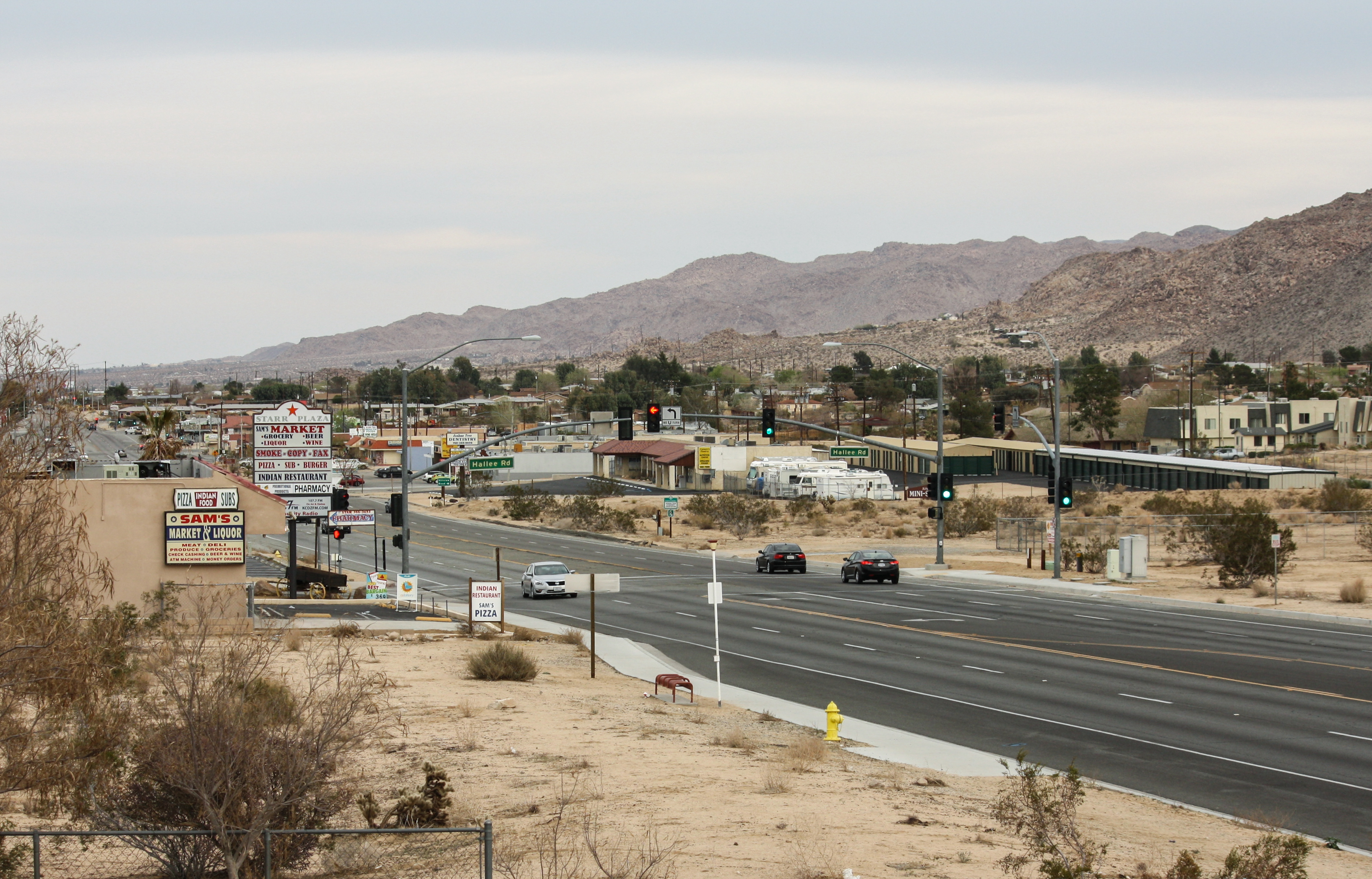 joshua tree 92252