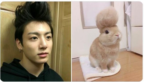 jungkook the bunny