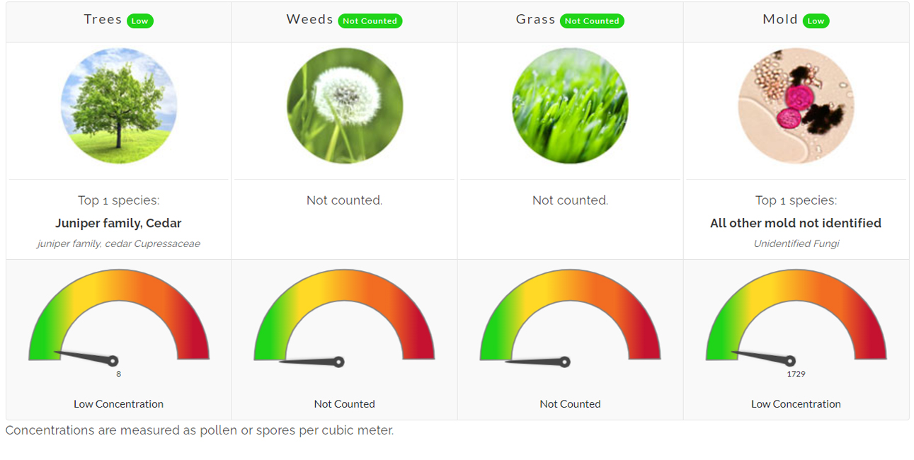 juniper pollen count dallas