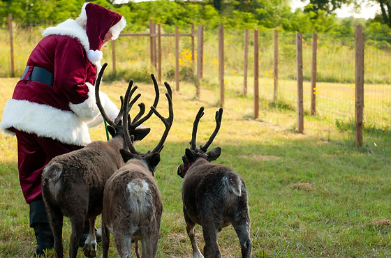 kansas city reindeer farm