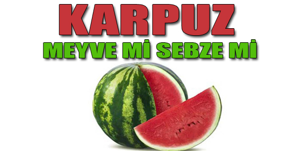 karpuz meyve midir sebze mi