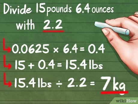 kilos to pounds and oz