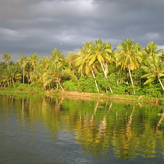 kochi weather forecast 10 days