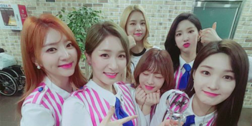 laboum first win