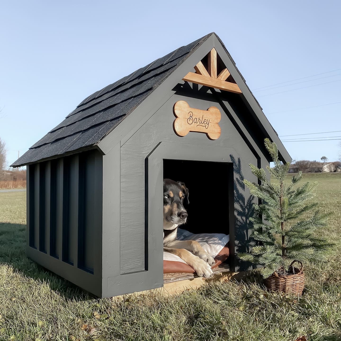 large outdoor dog house