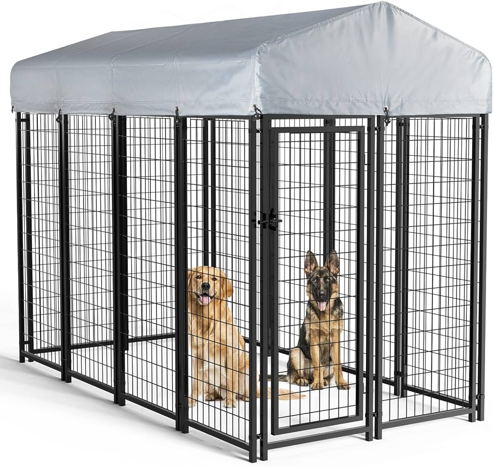 large outdoor kennel