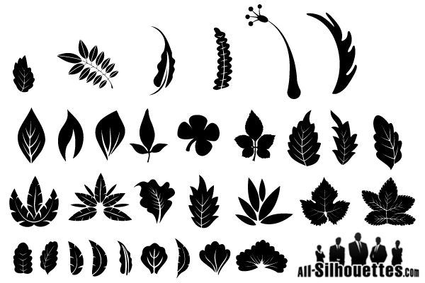 leaf graphic vector