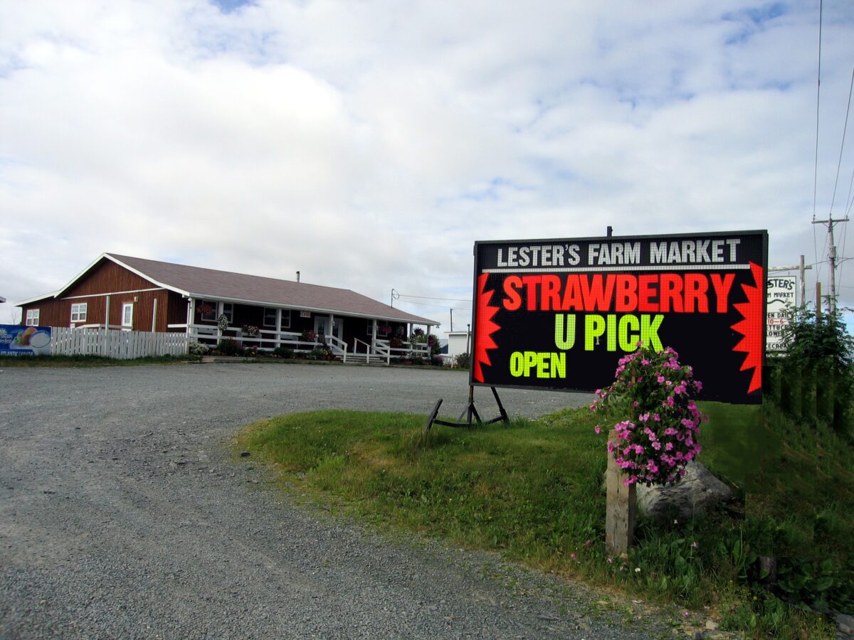 lesters farm hours