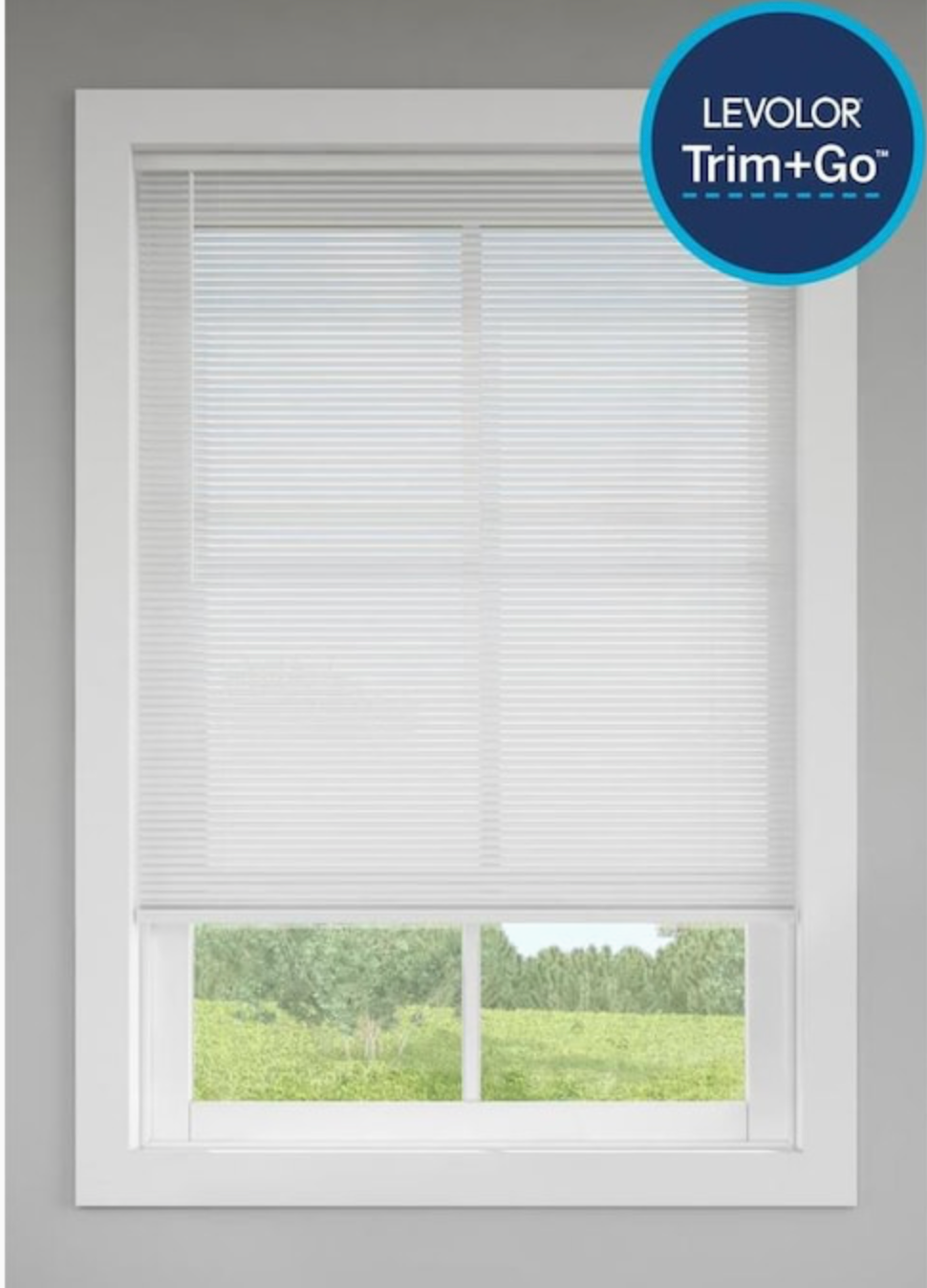 levelor blinds