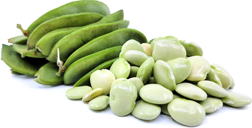 lima beans meaning in hindi