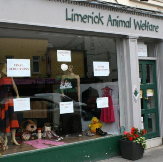 limerick animal welfare